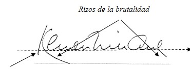3. CON RIZOS